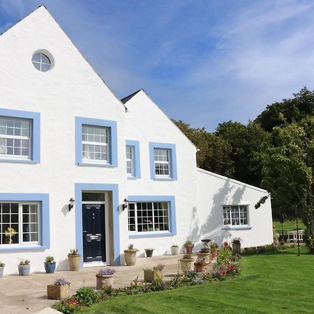 Bed and Breakfast Ty Nant Little Haven Esterno foto